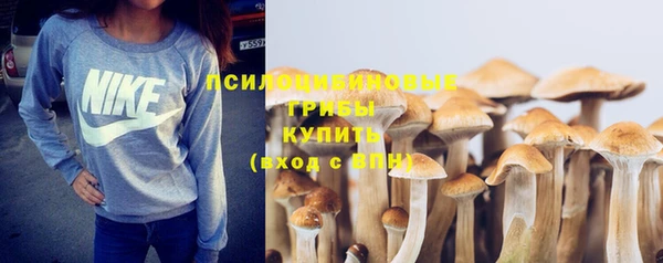 дживик Бородино