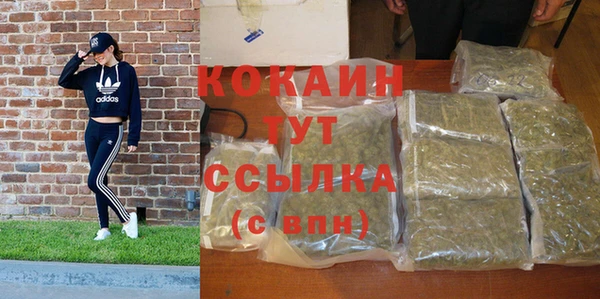 дживик Бородино