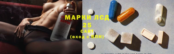 дживик Бородино