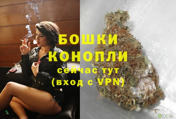 ПСИЛОЦИБИНОВЫЕ ГРИБЫ Бугульма