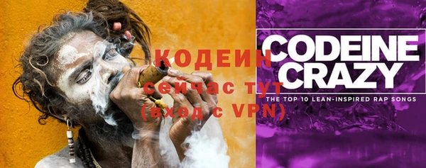 дживик Бородино