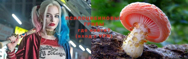 дмт Володарск