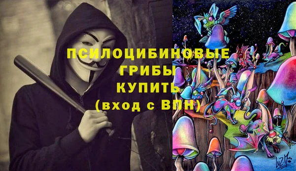 дживик Бородино